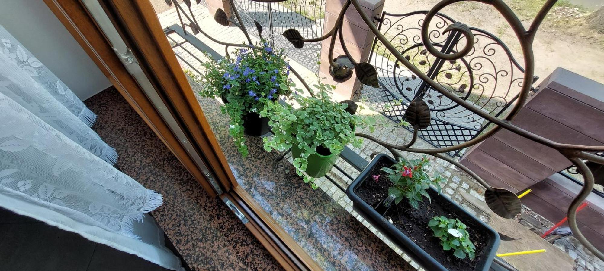 Apartament La Brigitte Hennigsdorf Pokój zdjęcie